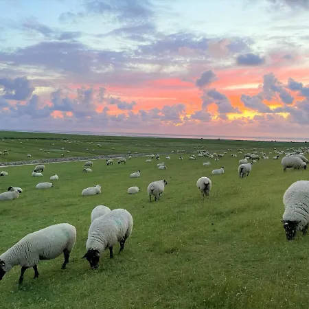 Tatil Evi Nordseetraum - Wolke