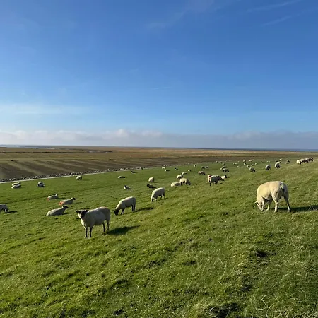 Nordseetraum - Wolke