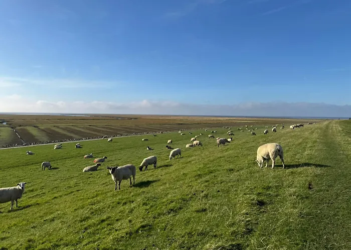 Nordseetraum - Wolke